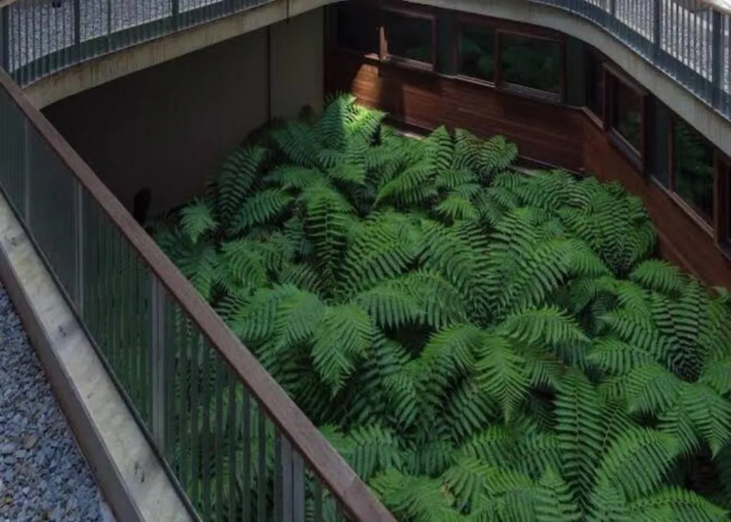 Nishi Holiday Apartments Canberra Australia
